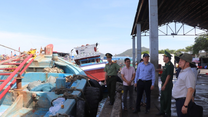 Ho Chi Minh City steps up oversight of unqualified fishing vessels